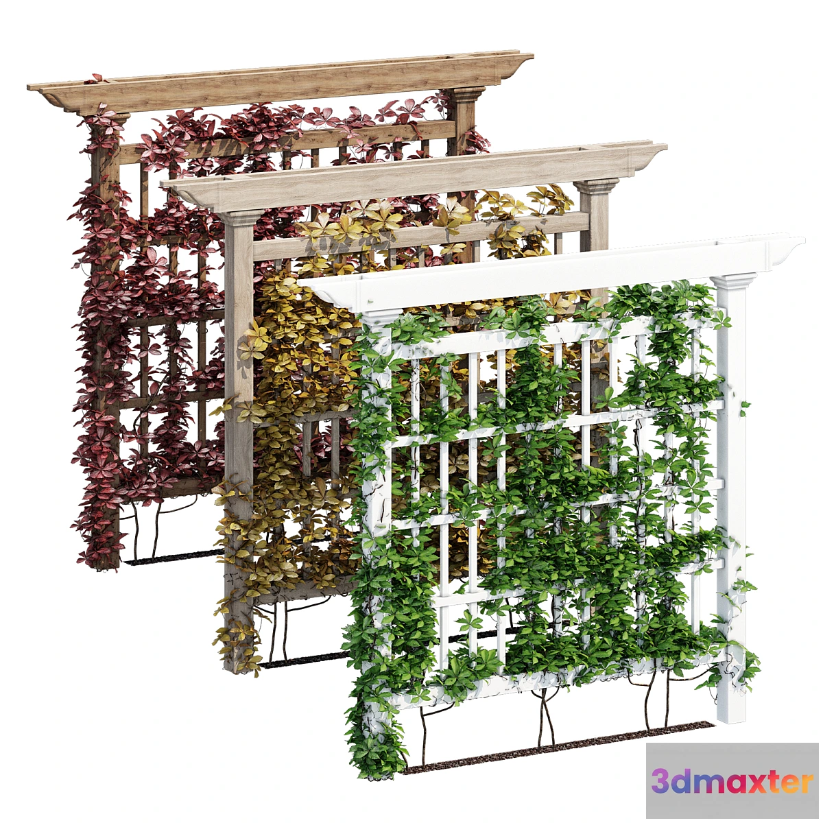 777825 - Camden - No.2