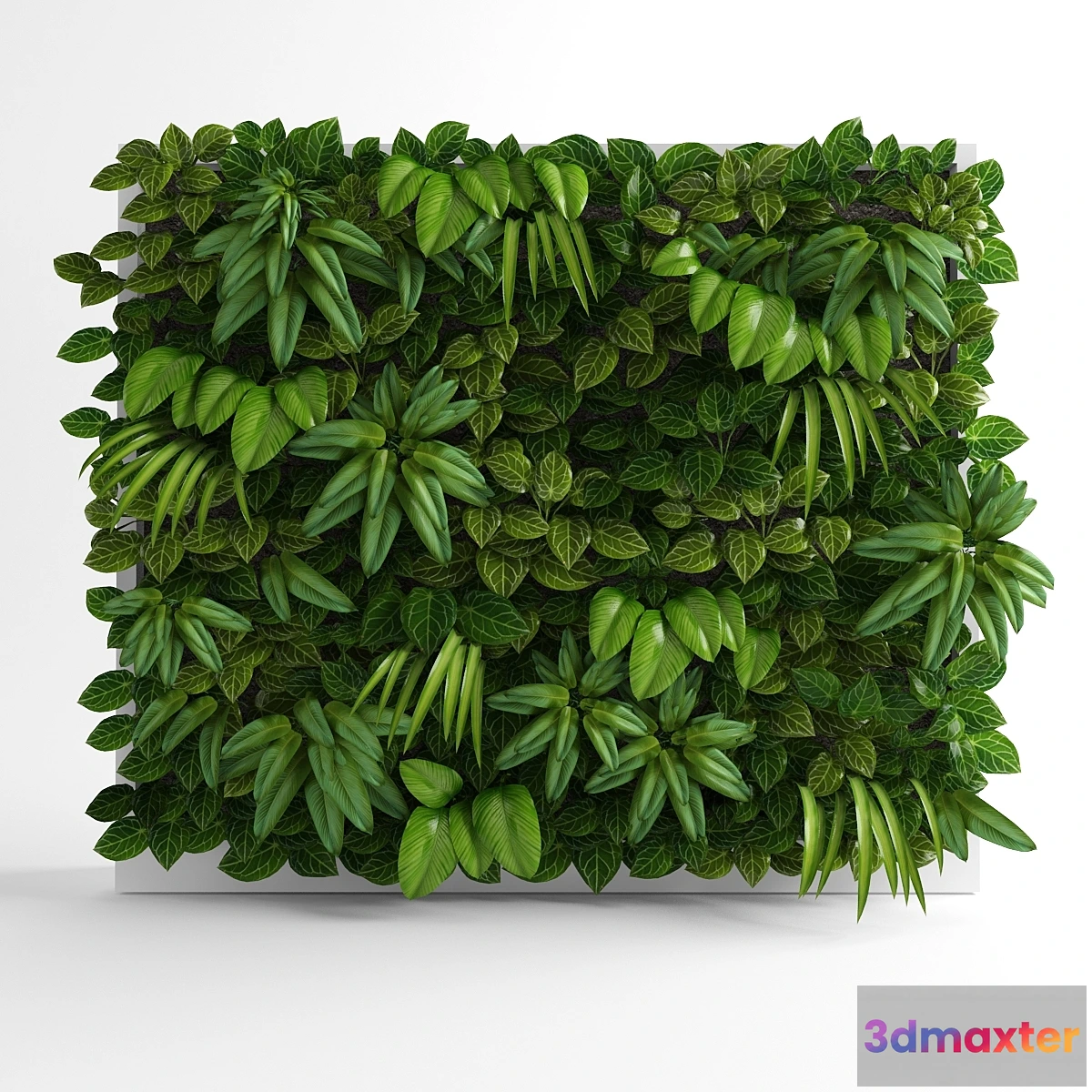 791708 - Green wall - No.4