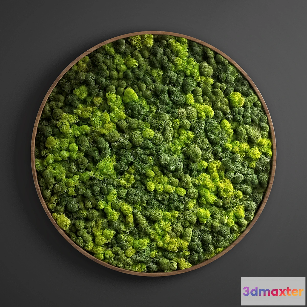 792198 - panel moss circle - No.3