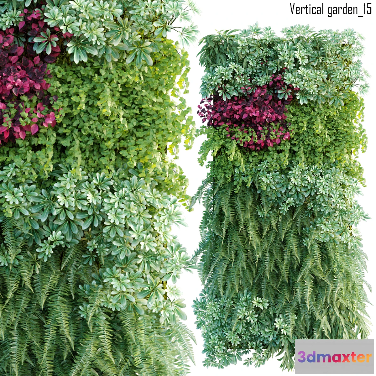 805680 - Vertical garden 15 - No.3