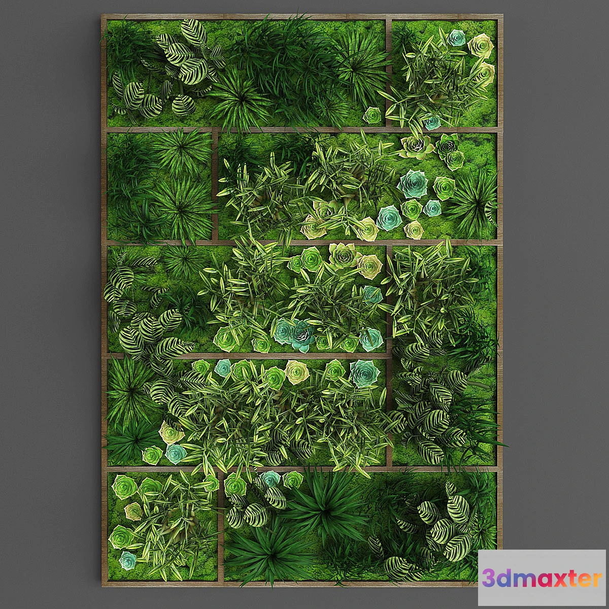 805764 - Vertical gardening 010 - No.2