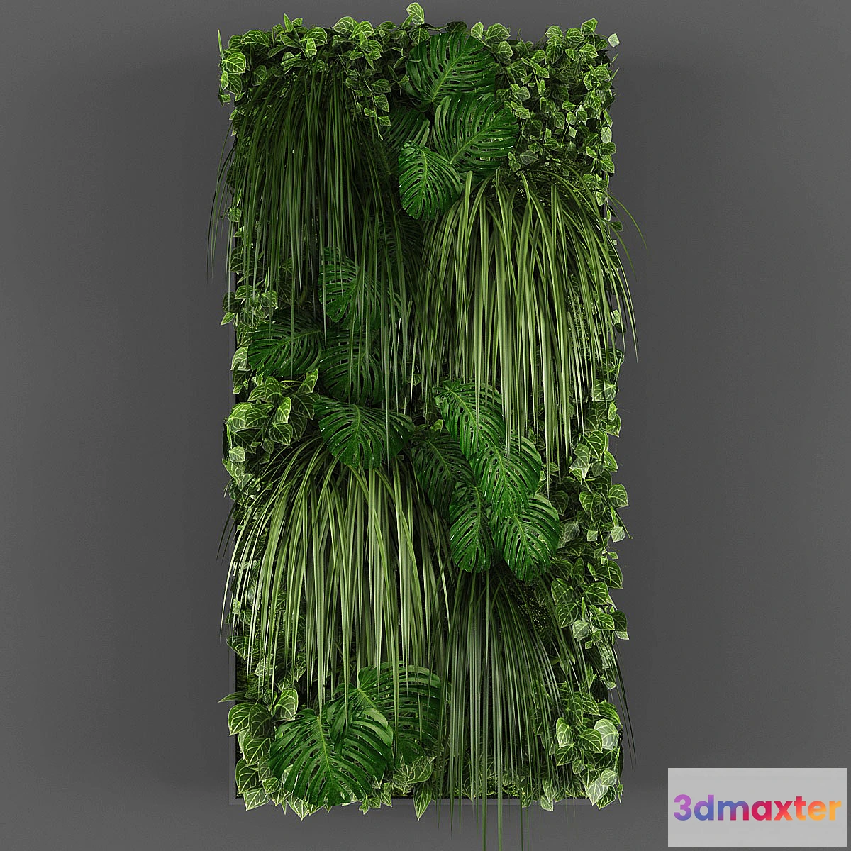805856 - Vertical garden 015 - No.2