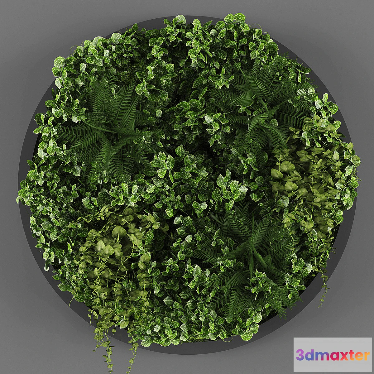 805880 - Vertical garden 07 - No.2
