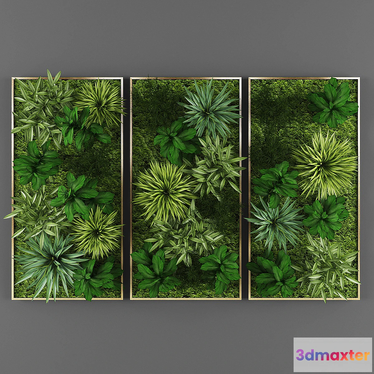 805886 - Vertical garden 01 - No.4