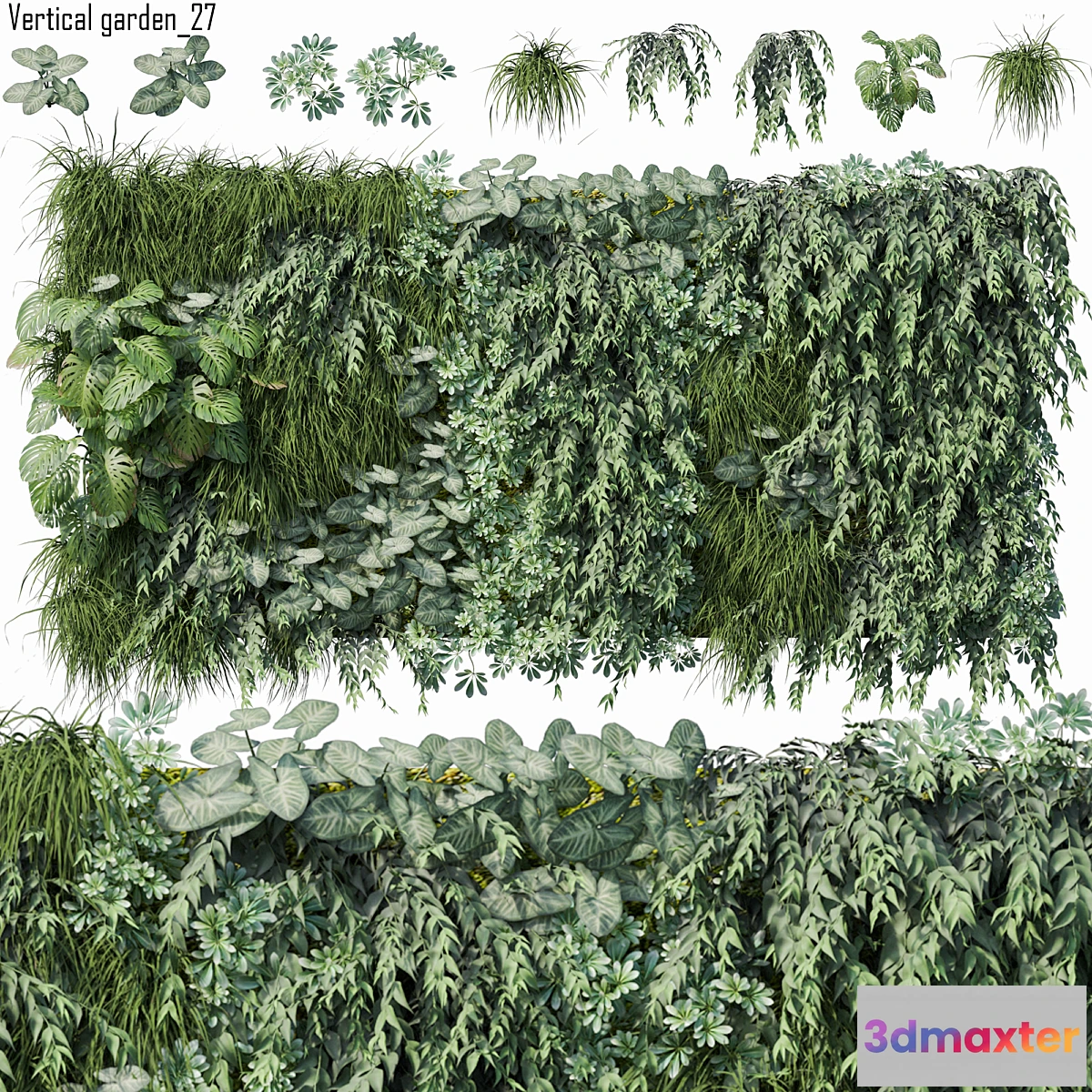 805890 - Vertical garden 27 - No.2