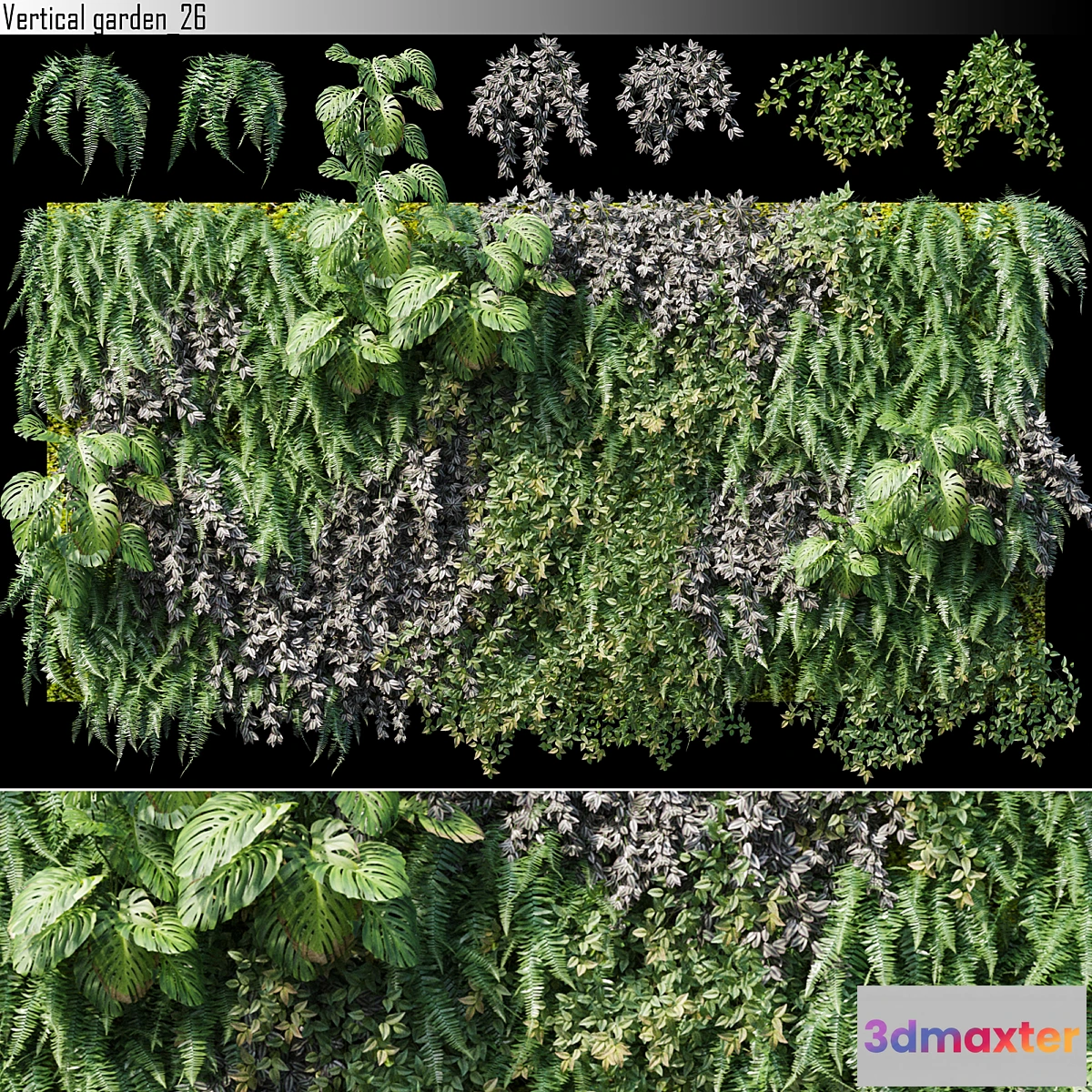 805902 - Vertical garden 26 - No.2