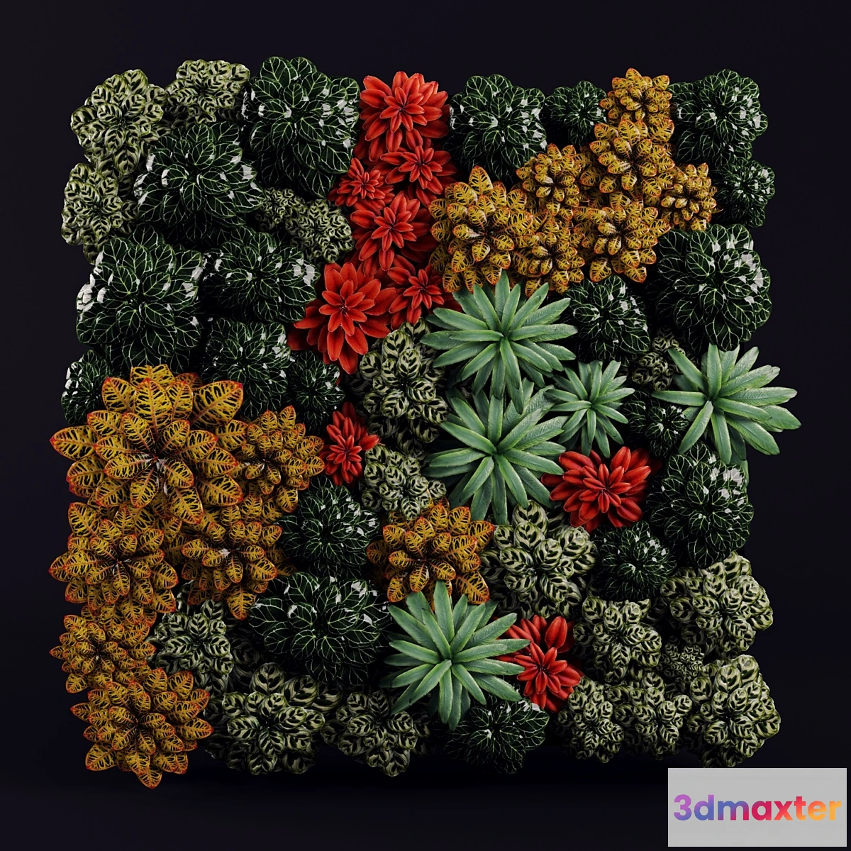 806644 - Fitostena - No.12