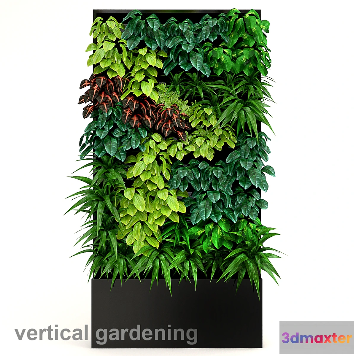 806686 - Vertical gardening 2 - No.3