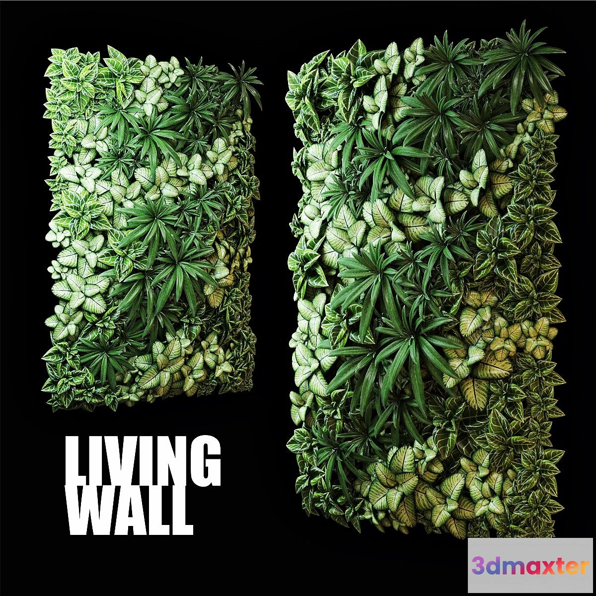 819696 - Fitostena - No.13