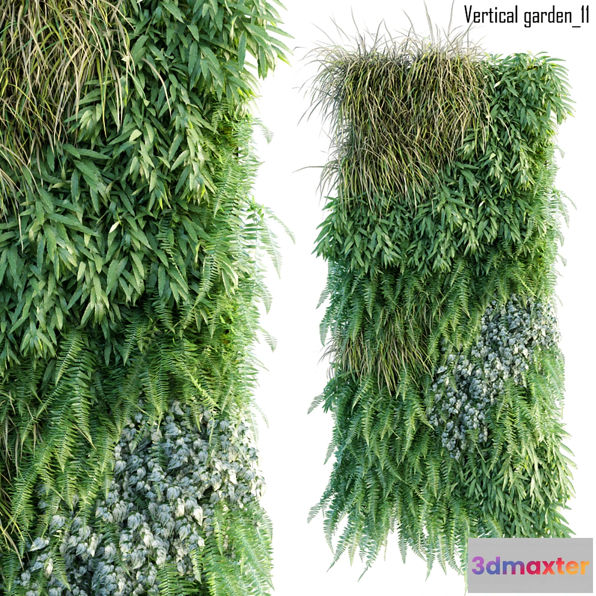 819730 - Vertical garden 11 - No.3