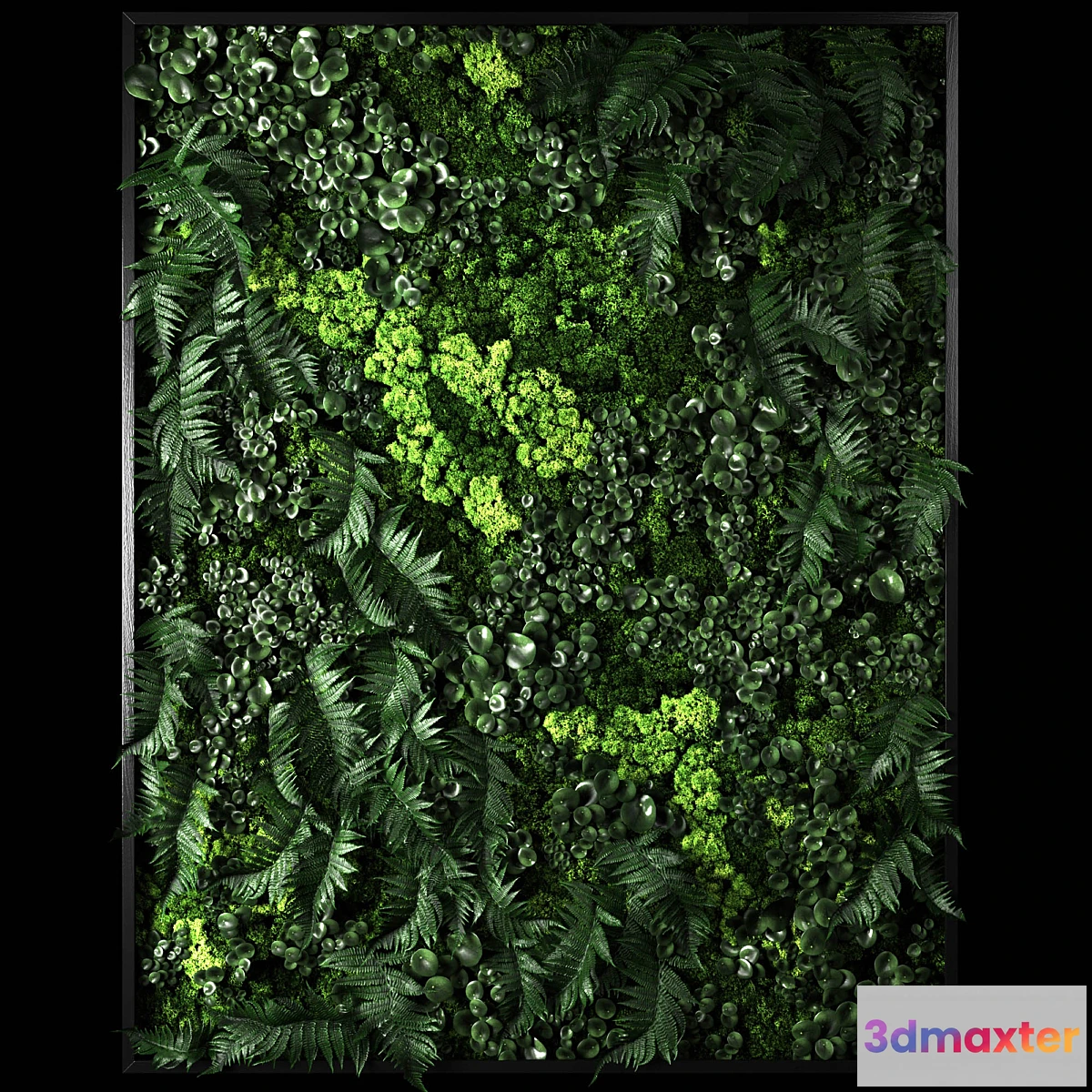 819764 - Fytowall 2 - No.4