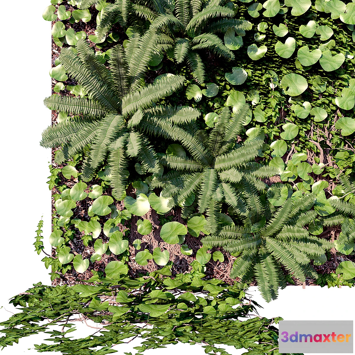 819780 - Wall decor panel Vertical Garden - No.3