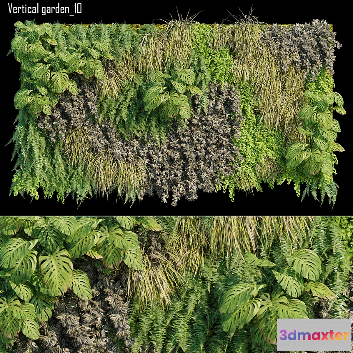 846259 - Vertical garden 10 - No.4
