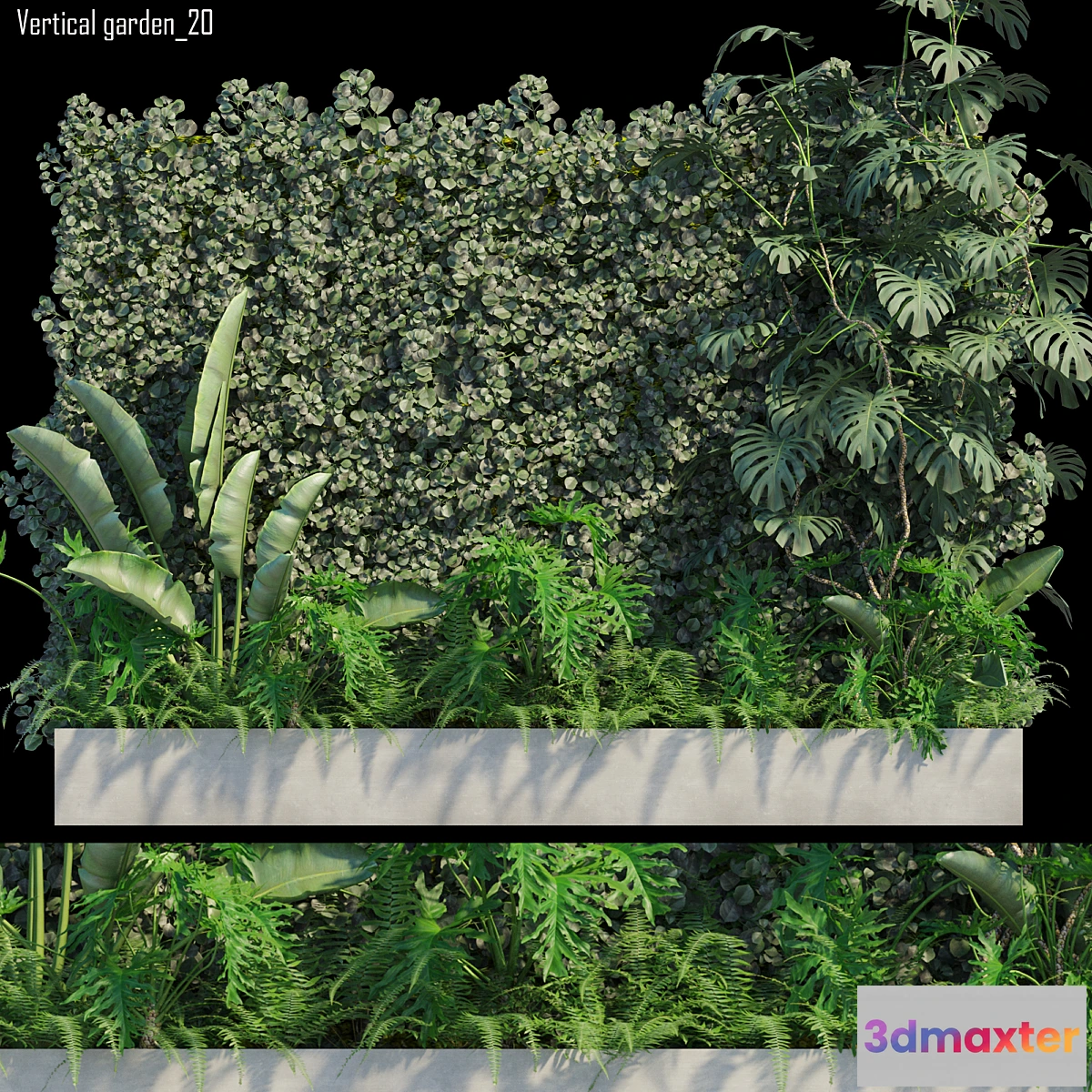 846359 - Vertical garden_20 - No.3