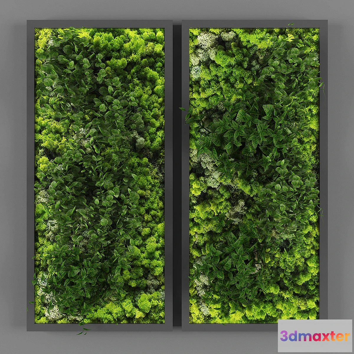 846363 - Vertical garden 062