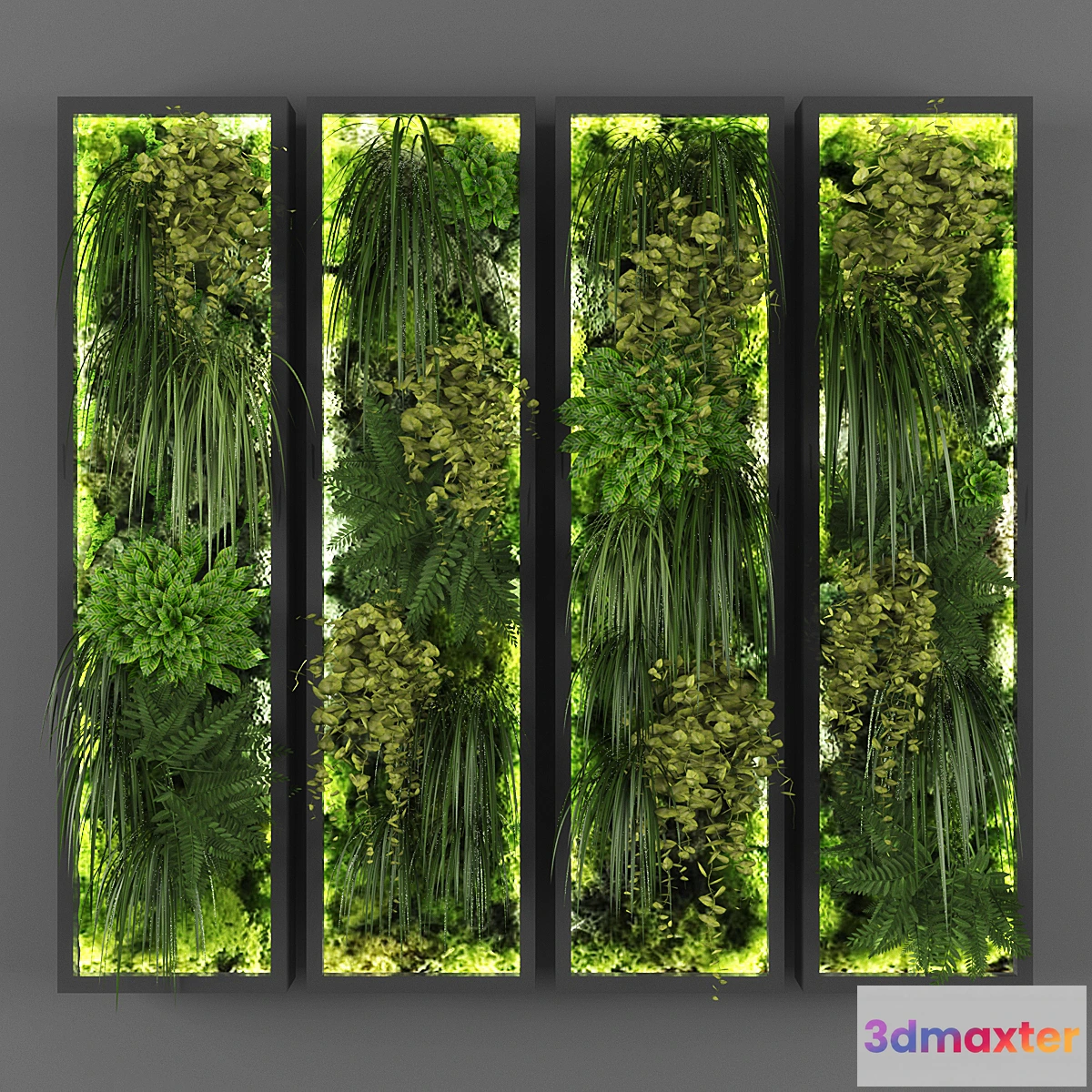 846367 - Vertical garden 127