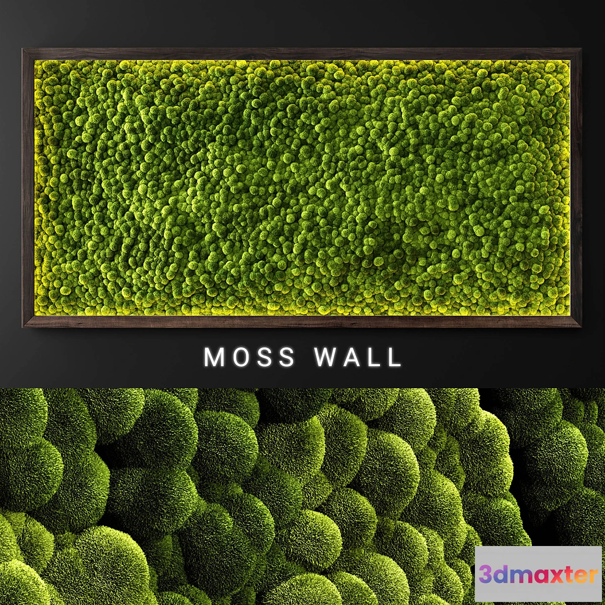 846371 - Moss wall 2