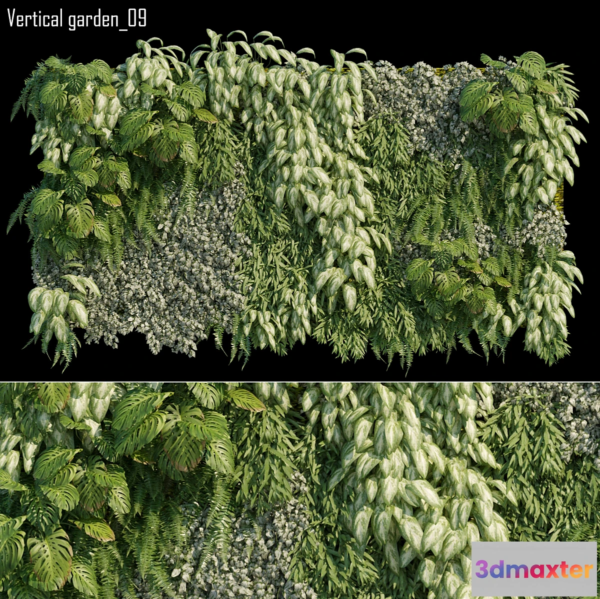 846383 - Vertical garden 09 - No.3