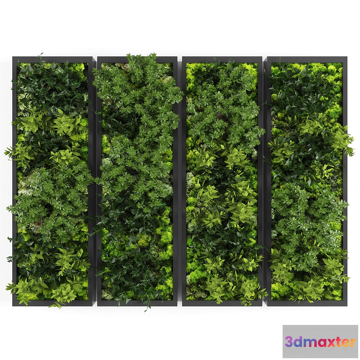 846389 - Vertical garden148