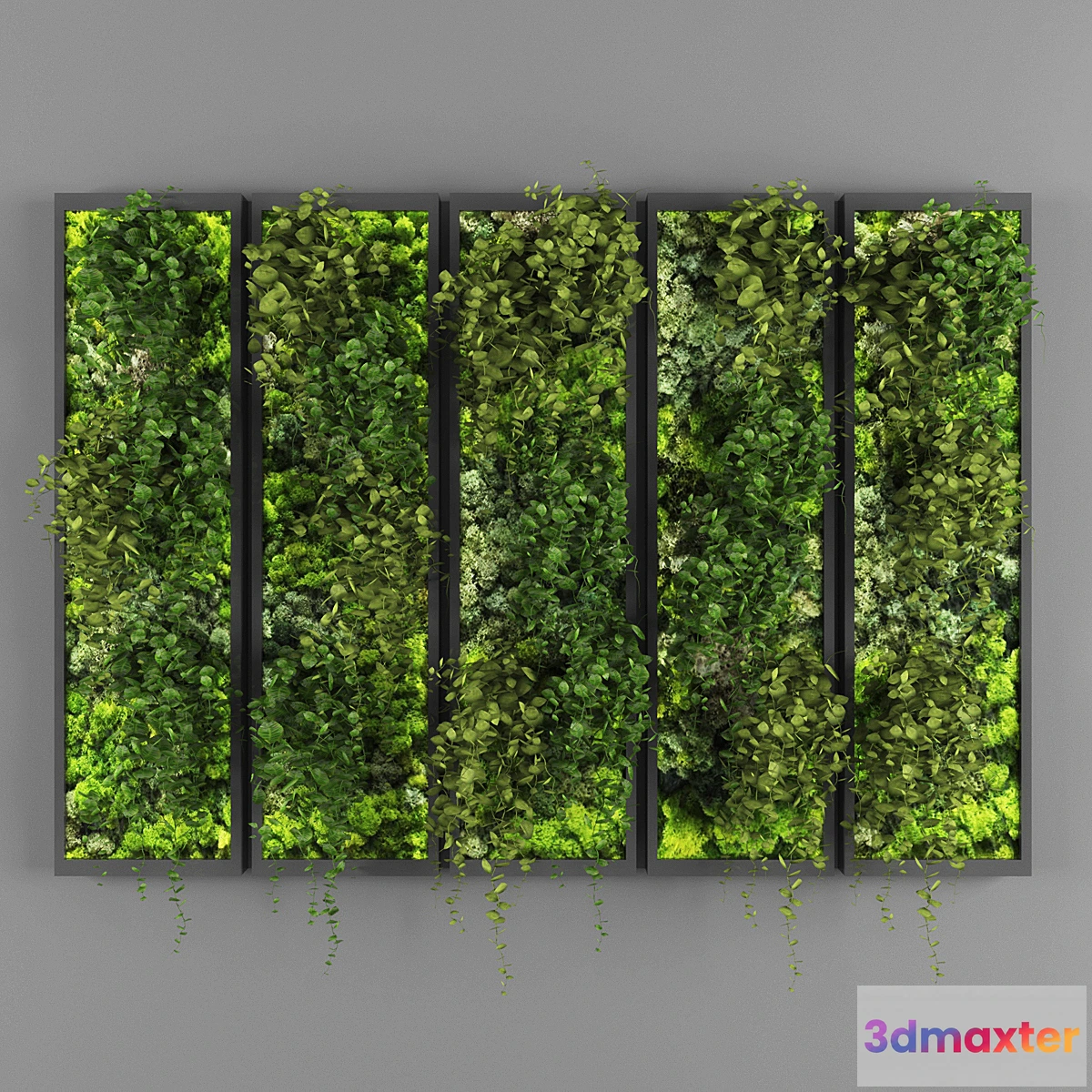 846391 - Vertical garden 110