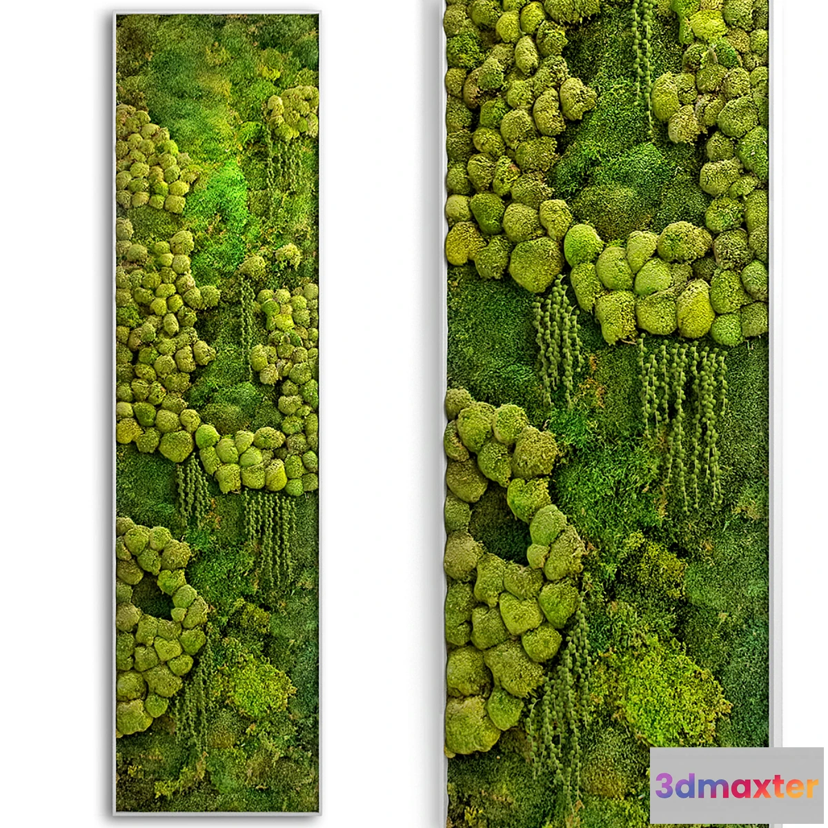 898832 - panel jungle - No.4