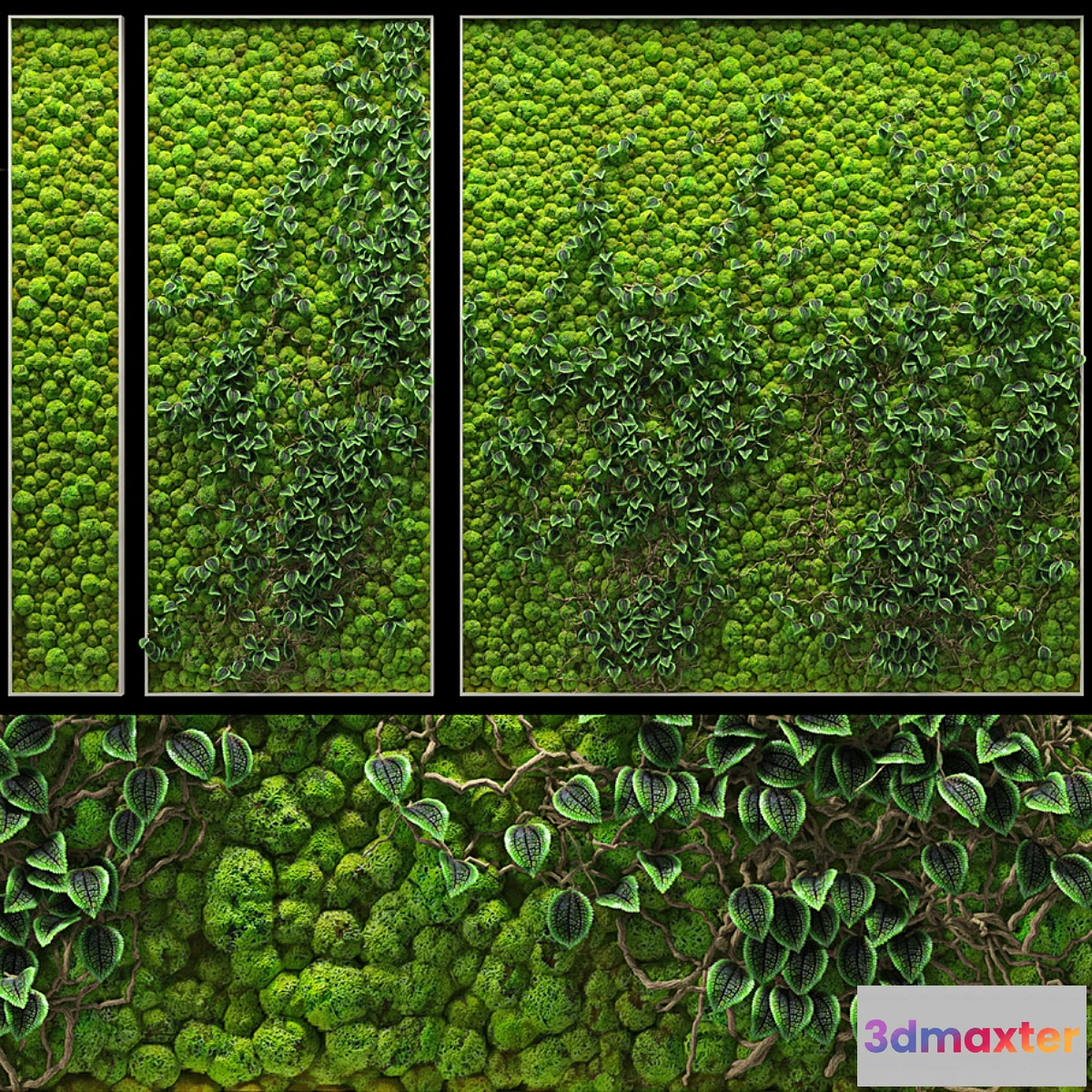 899240 - Fitowall - No.3