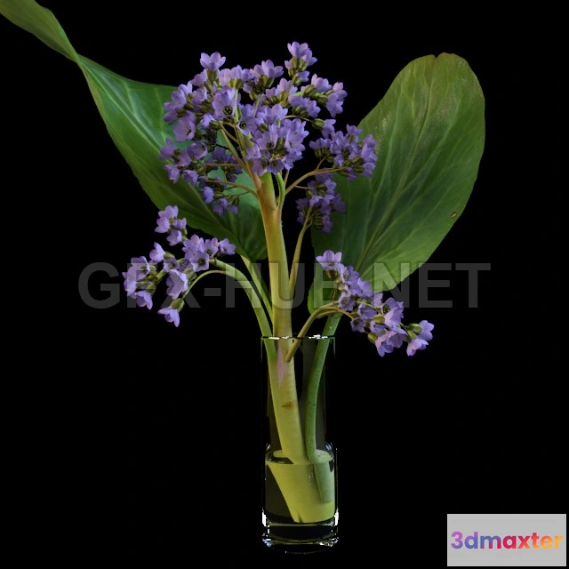 1072154 - Amb_Flower. Bodan - 205711