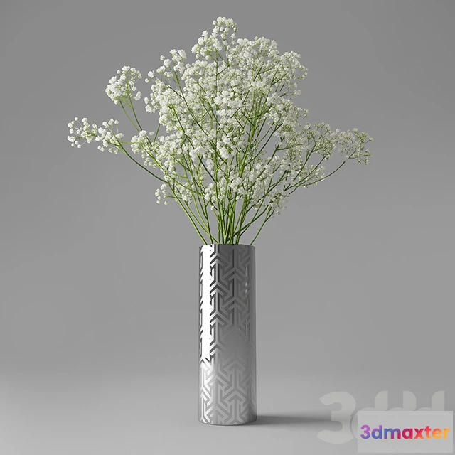 1073334 - Baby’s Breath Flower - 206891