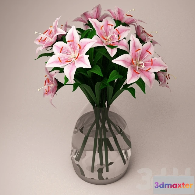 1081144 - Flower - Lily Pink - 214701