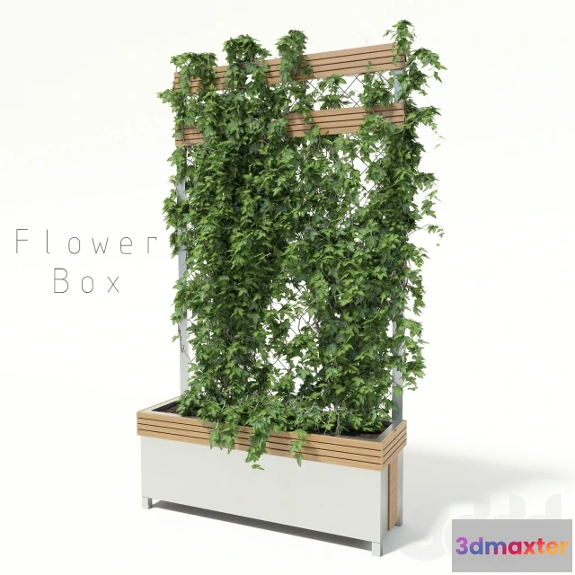 1081150 - flower box - 214707