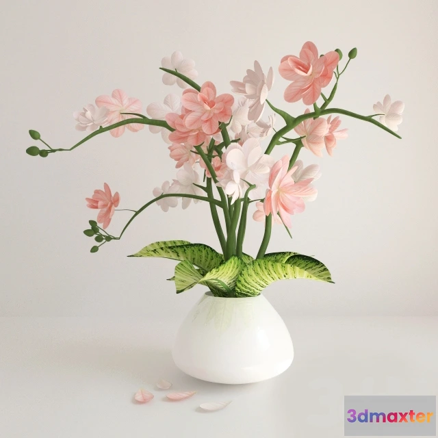 1088952 - Pink White Flowers - 222509