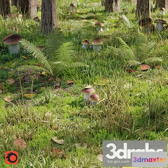 1010552 - Forest Set