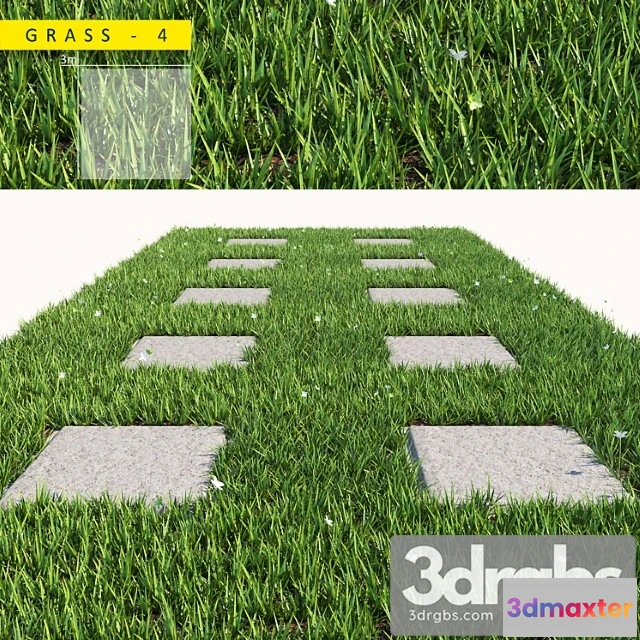 1010560 - Grass 4 1