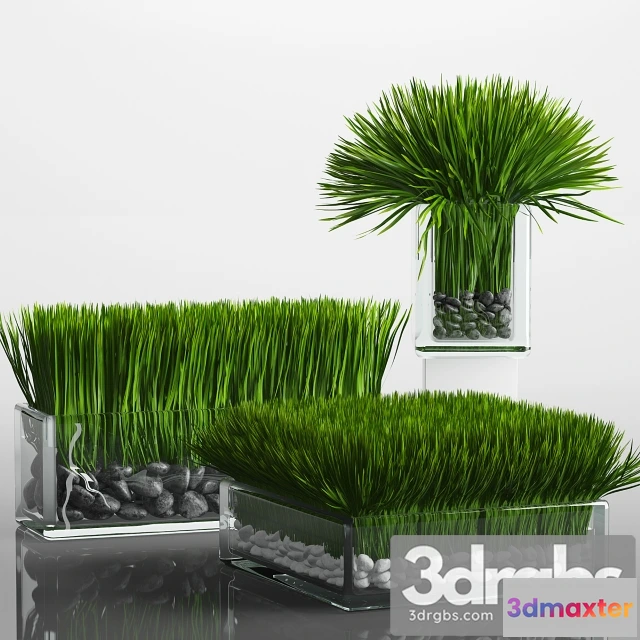 1010562 - Grass Arrangement