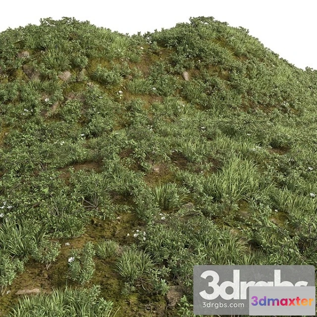 1010564 - Grass Collection For Landscape No12