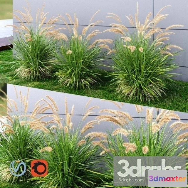 1010570 - Grass Fountain Green Medium