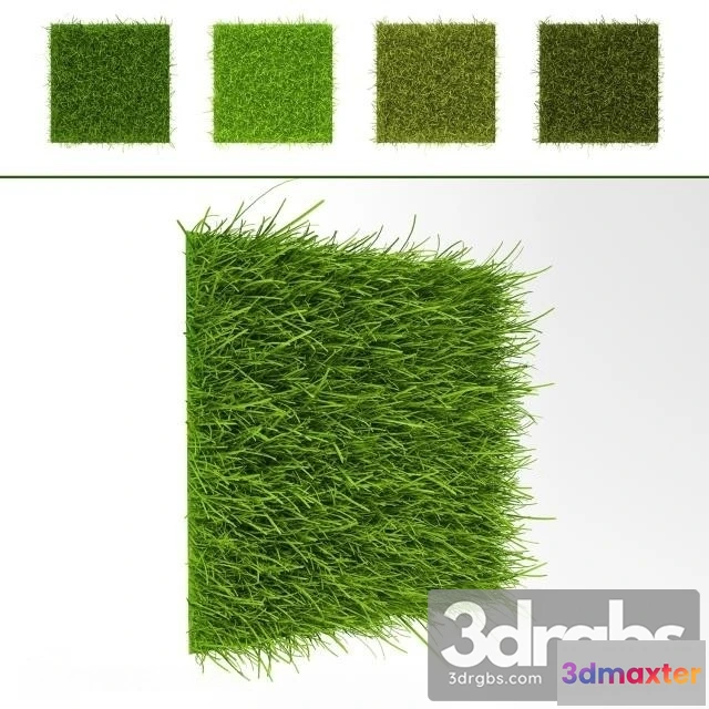 1010578 - Grass Wall 7