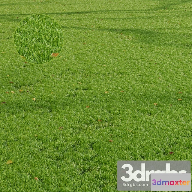 1010582 - Hq Grass Park Summer