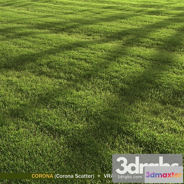 1010592 - Lawn Landscape
