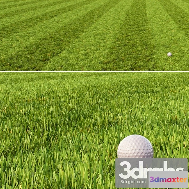 1010604 - Mown Lawn 1