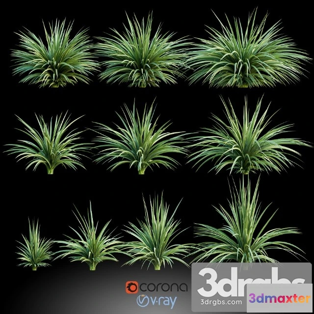 1010612 - Palm Small 3