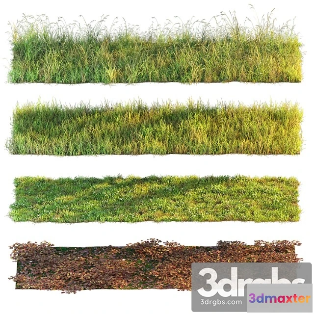 1010626 - Set of Grass and Leaves