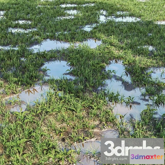 1060774 - Arch Grass 03