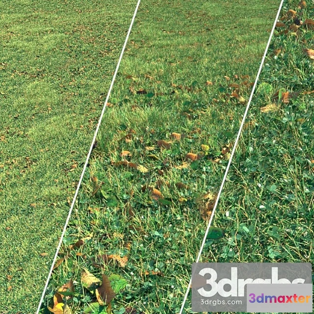 1060778 - Autumn grass 3