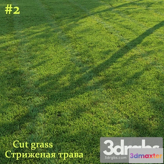1060792 - Cut grass - No.2