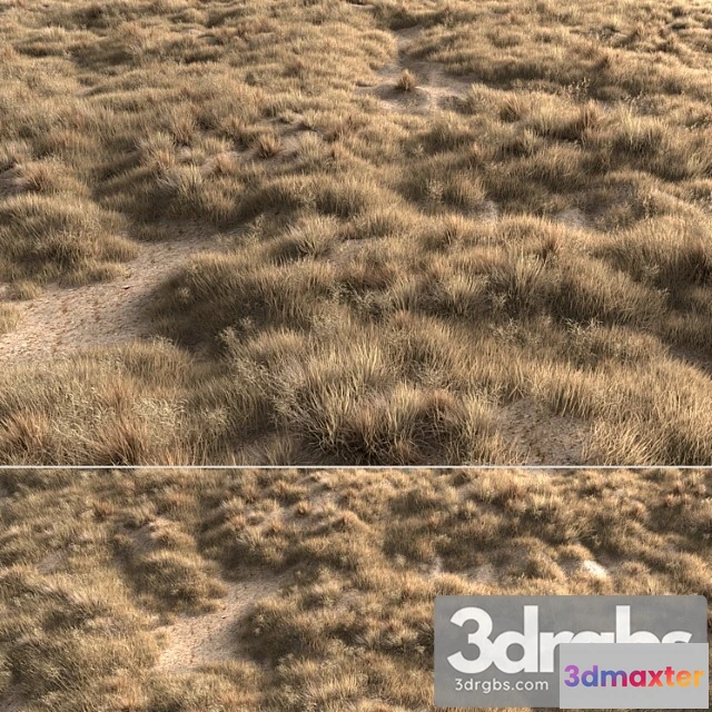 1060796 - Dried grass