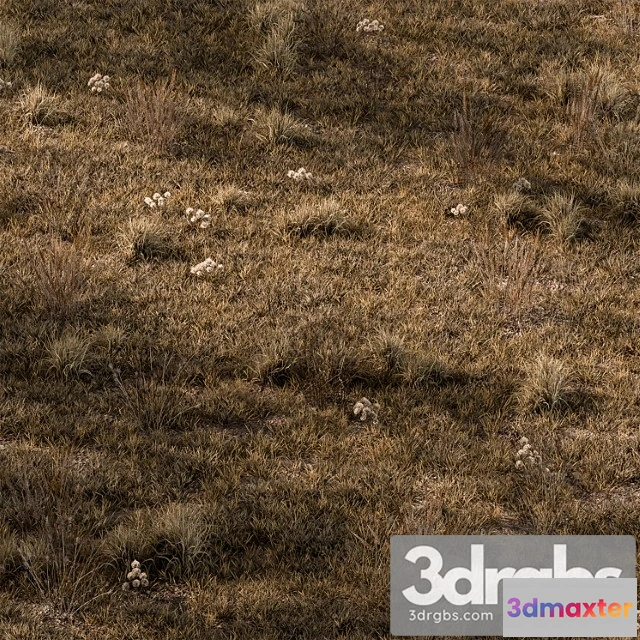 1060798 - Dry grass set 16