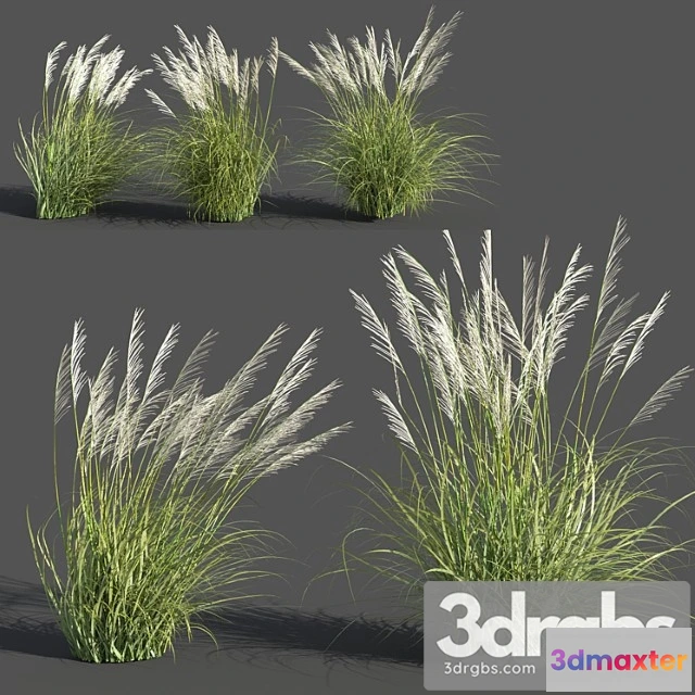 1060806 - Eriantus of ravenna