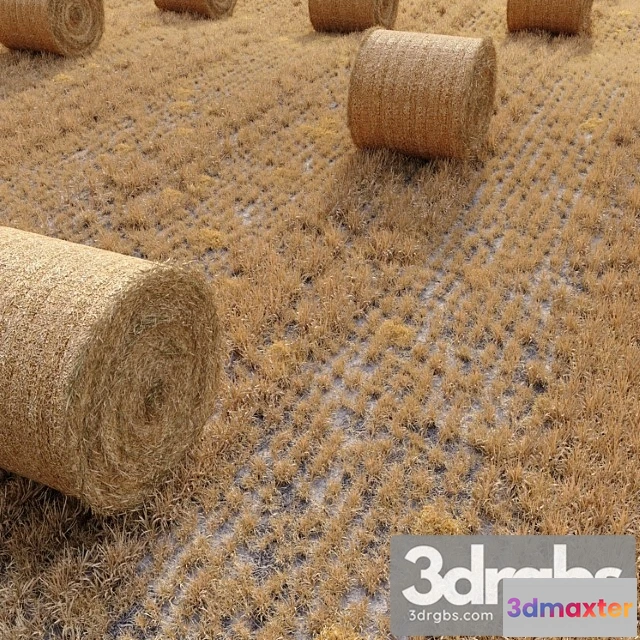 1060810 - Farm field with hay bale