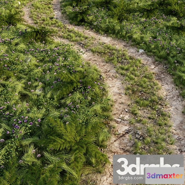 1060822 - Field road